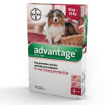 _advantage_dog_10_-_25kg.jpg