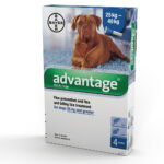 _advantage_dog_over_25kg.jpg