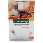 advantage.jpeg