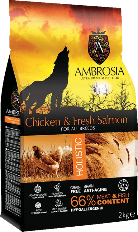 ambrosia-adult-chicken.png