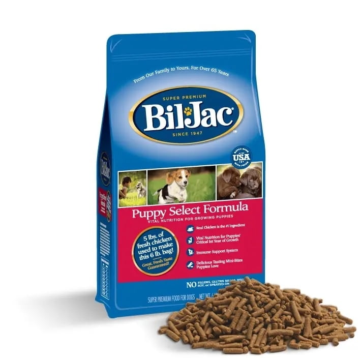 bil_jac_puppy.jpg