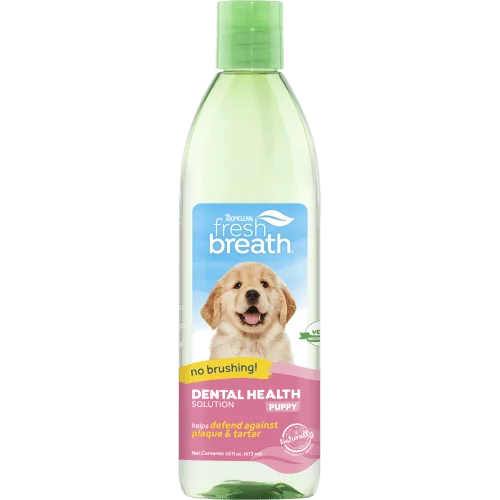 dental-health_puppies-500x500.png