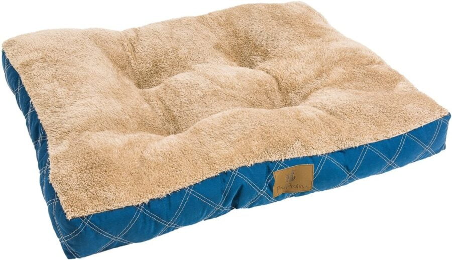 petsland_dog_mattress_fun_blue.jpg