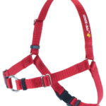 sense-ible-harness-red_6.jpg