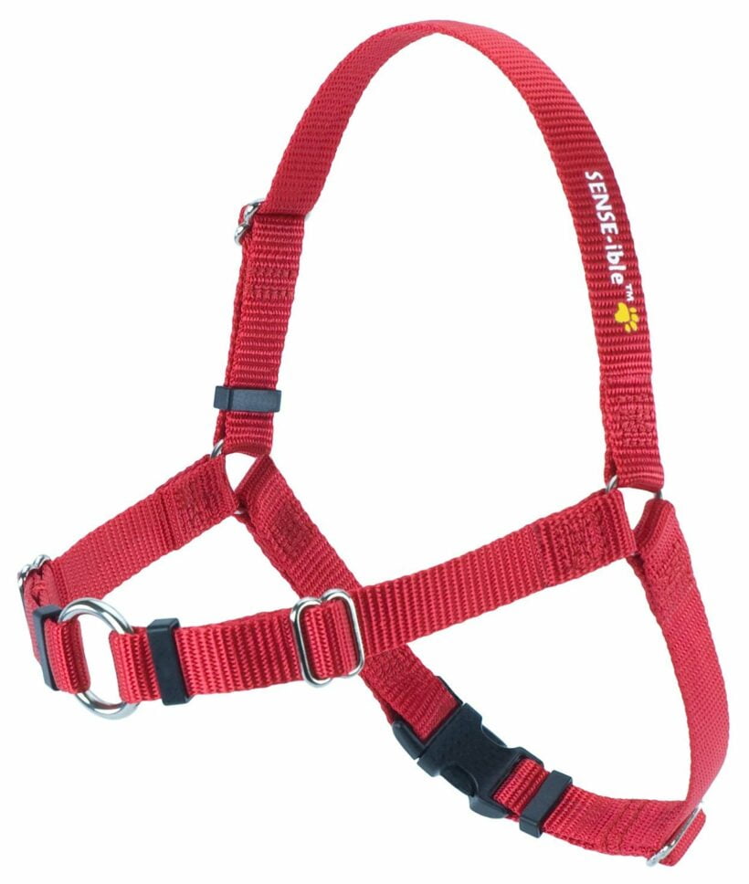 sense-ible-harness-red_6.jpg