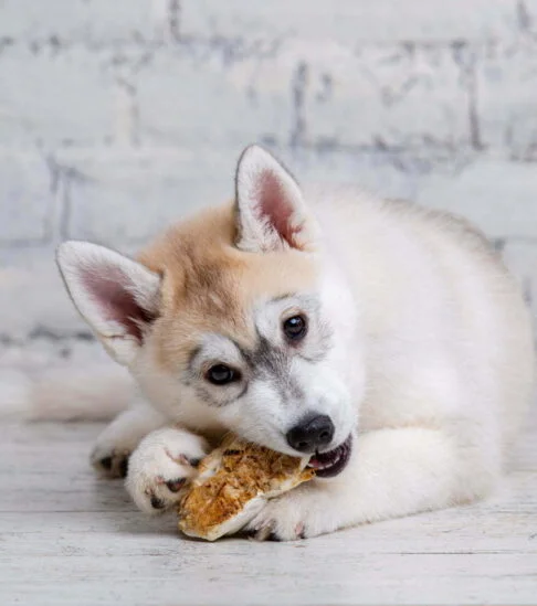 Istock 1282760650 Scaled1