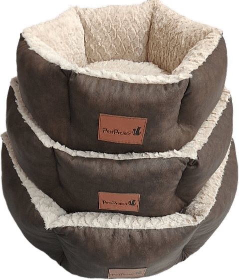 276 04012025093302 Large