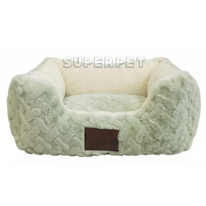 נומה פיסטוק 2